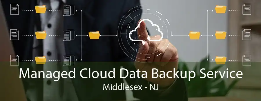 Managed Cloud Data Backup Service Middlesex - NJ