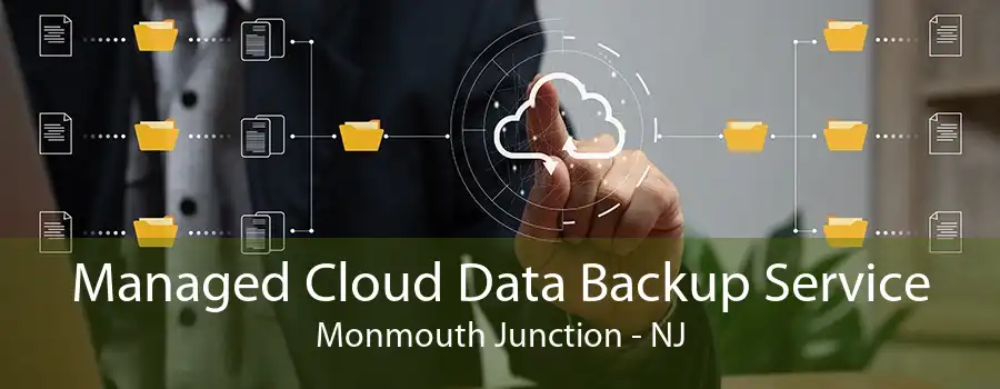 Managed Cloud Data Backup Service Monmouth Junction - NJ