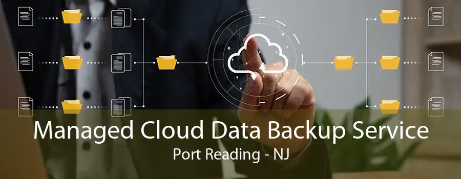 Managed Cloud Data Backup Service Port Reading - NJ