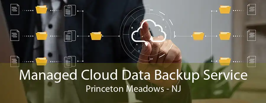 Managed Cloud Data Backup Service Princeton Meadows - NJ