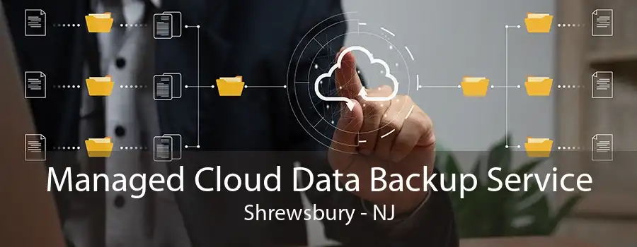 Managed Cloud Data Backup Service Shrewsbury - NJ