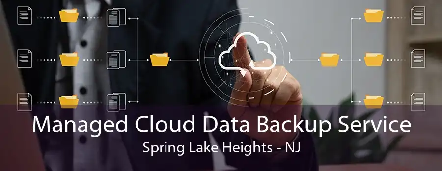 Managed Cloud Data Backup Service Spring Lake Heights - NJ