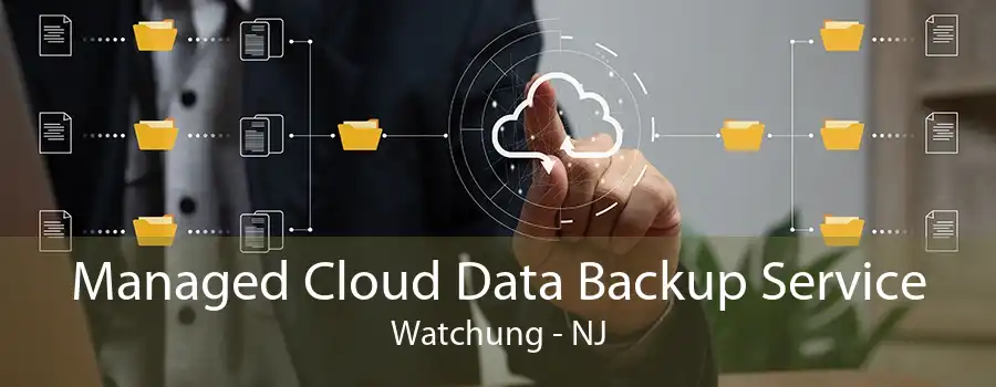 Managed Cloud Data Backup Service Watchung - NJ