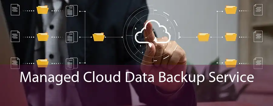 Managed Cloud Data Backup Service 