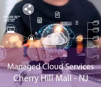 Managed Cloud Services Cherry Hill Mall - NJ