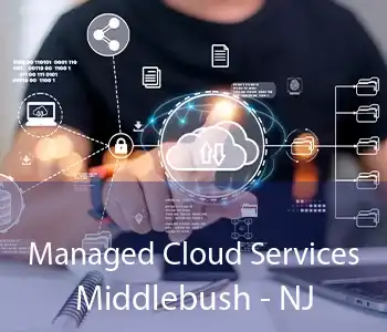 Managed Cloud Services Middlebush - NJ