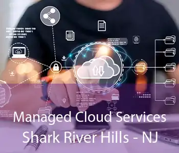 Managed Cloud Services Shark River Hills - NJ