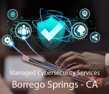 Managed Cybersecurity Services Borrego Springs - CA