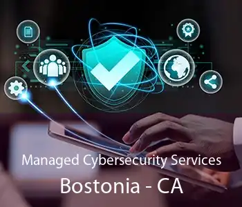 Managed Cybersecurity Services Bostonia - CA