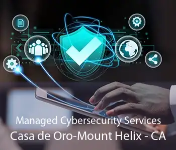 Managed Cybersecurity Services Casa de Oro-Mount Helix - CA