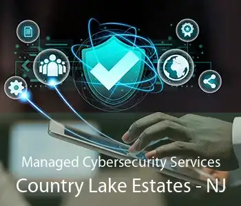 Managed Cybersecurity Services Country Lake Estates - NJ