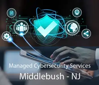 Managed Cybersecurity Services Middlebush - NJ