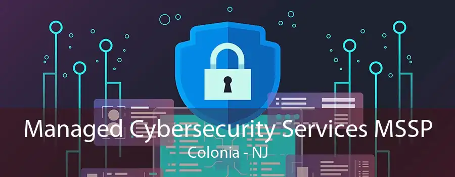 Managed Cybersecurity Services MSSP Colonia - NJ