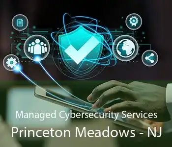 Managed Cybersecurity Services Princeton Meadows - NJ