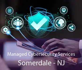 Managed Cybersecurity Services Somerdale - NJ