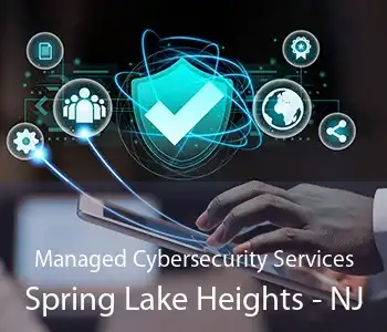 Managed Cybersecurity Services Spring Lake Heights - NJ