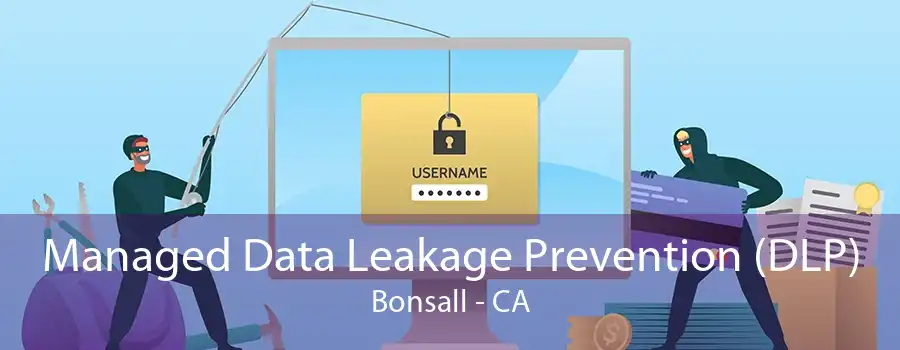 Managed Data Leakage Prevention (DLP) Bonsall - CA