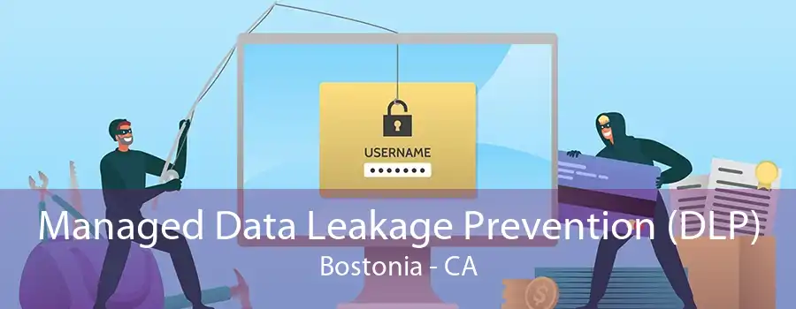 Managed Data Leakage Prevention (DLP) Bostonia - CA