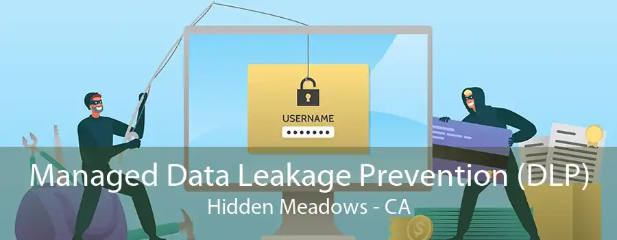 Managed Data Leakage Prevention (DLP) Hidden Meadows - CA