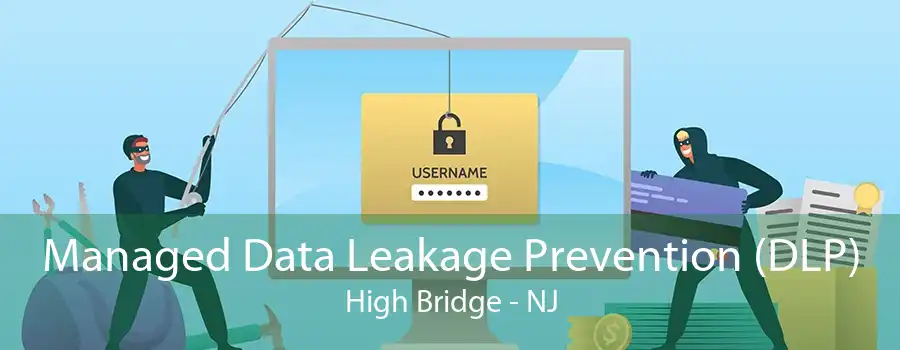 Managed Data Leakage Prevention (DLP) High Bridge - NJ