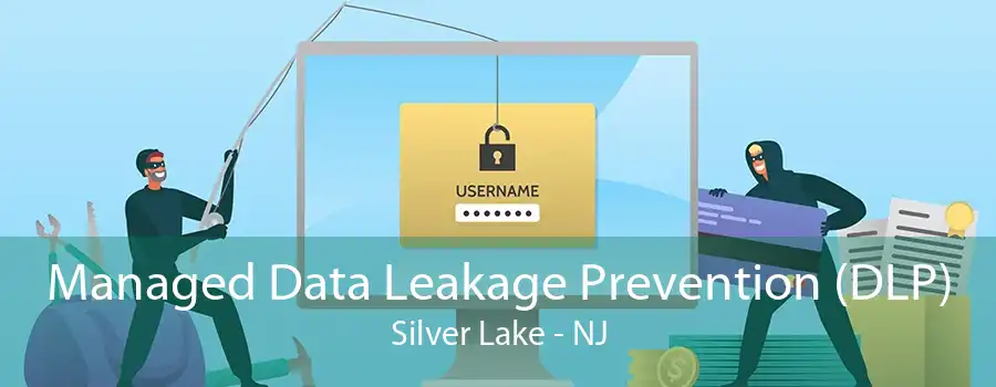 Managed Data Leakage Prevention (DLP) Silver Lake - NJ