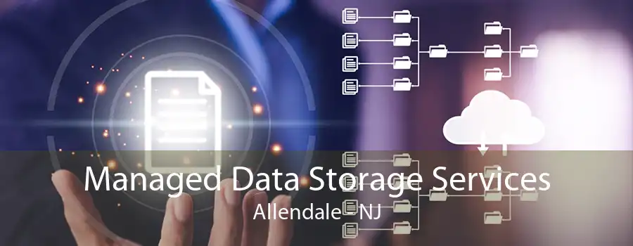 Managed Data Storage Services Allendale - NJ