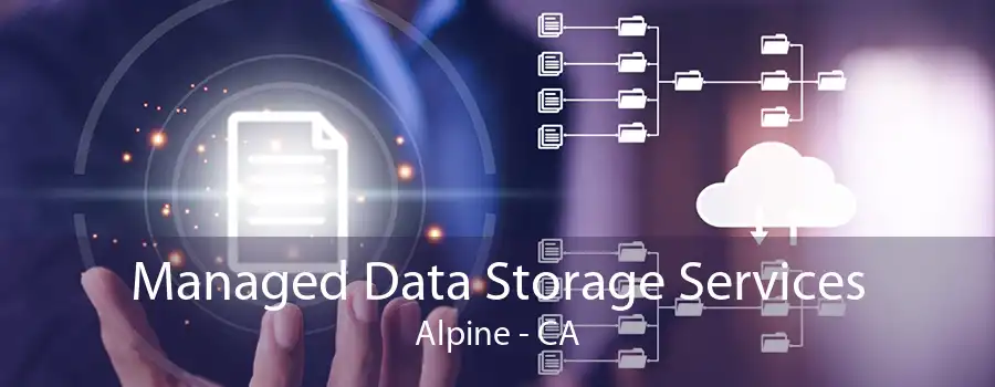 Managed Data Storage Services Alpine - CA