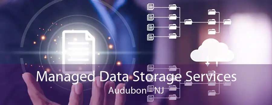 Managed Data Storage Services Audubon - NJ