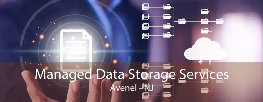 Managed Data Storage Services Avenel - NJ