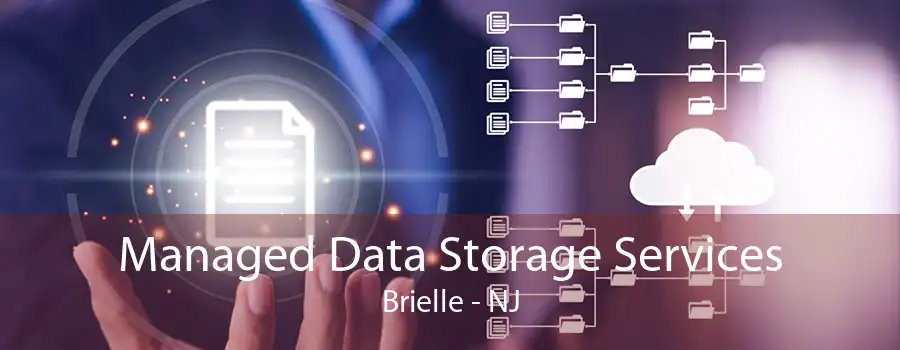 Managed Data Storage Services Brielle - NJ