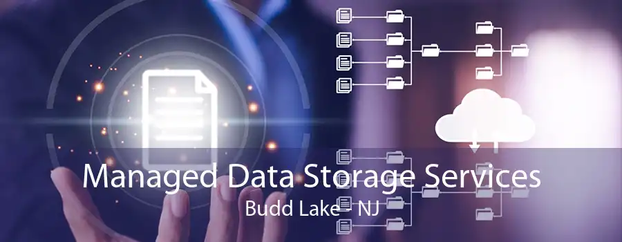 Managed Data Storage Services Budd Lake - NJ