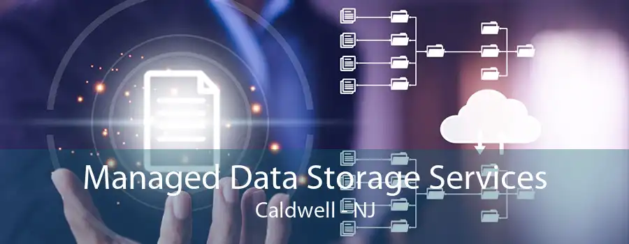 Managed Data Storage Services Caldwell - NJ