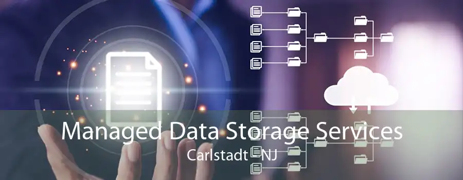 Managed Data Storage Services Carlstadt - NJ