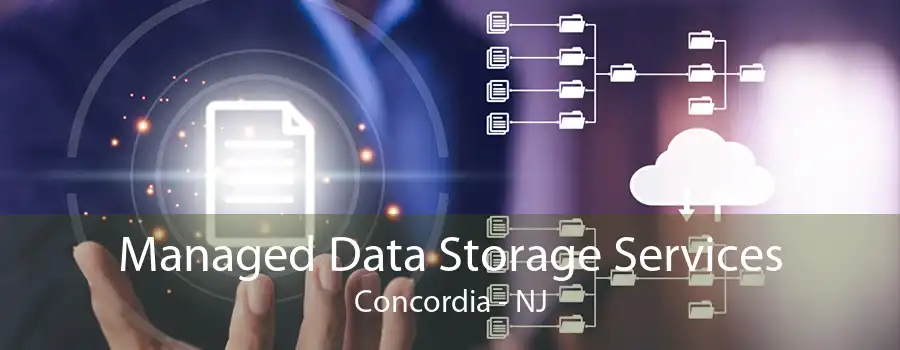 Managed Data Storage Services Concordia - NJ