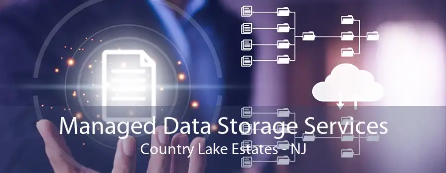 Managed Data Storage Services Country Lake Estates - NJ