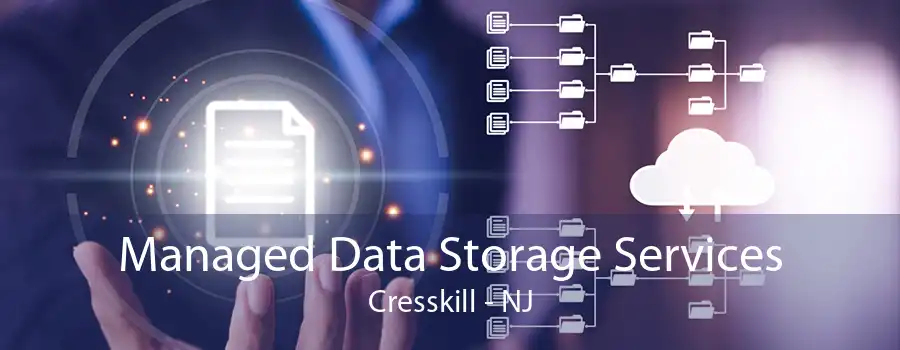 Managed Data Storage Services Cresskill - NJ