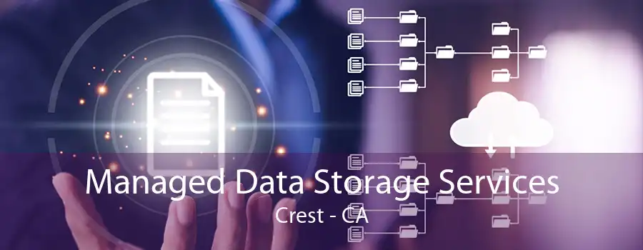 Managed Data Storage Services Crest - CA