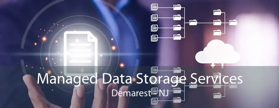 Managed Data Storage Services Demarest - NJ