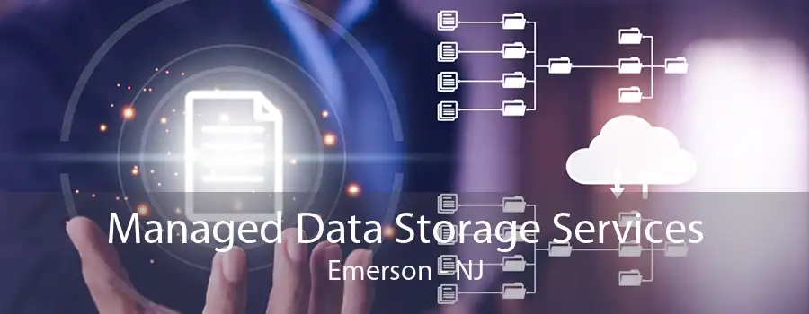 Managed Data Storage Services Emerson - NJ