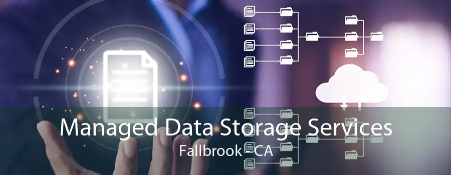 Managed Data Storage Services Fallbrook - CA