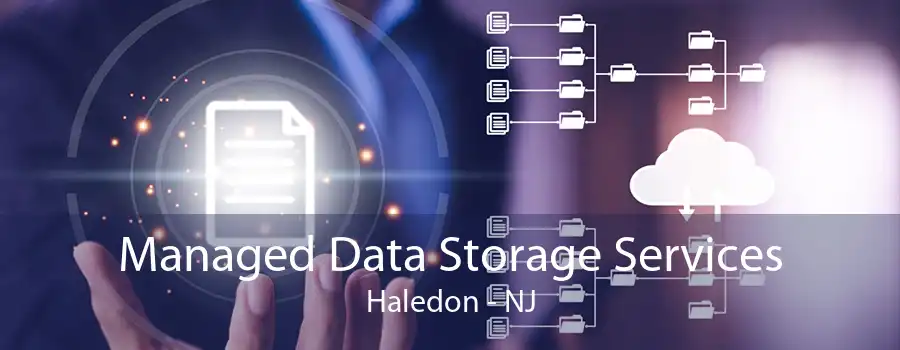 Managed Data Storage Services Haledon - NJ