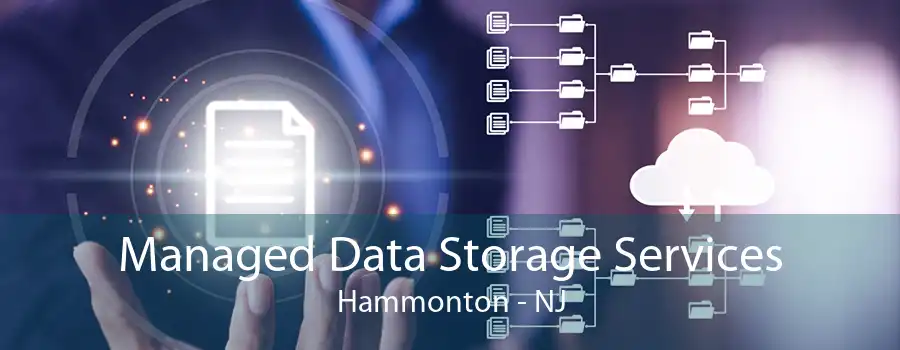 Managed Data Storage Services Hammonton - NJ