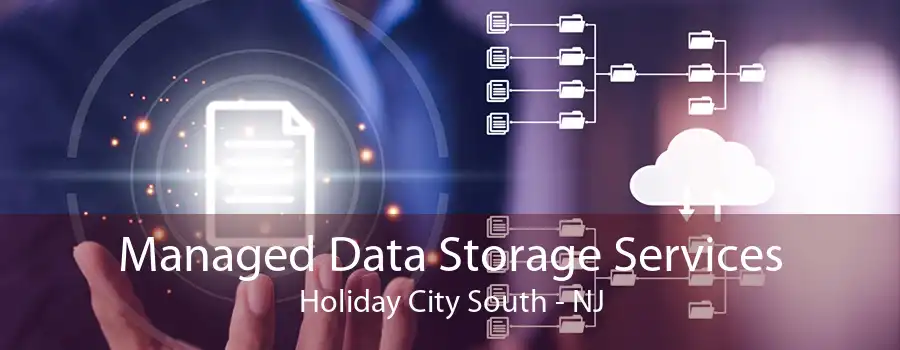 Managed Data Storage Services Holiday City South - NJ