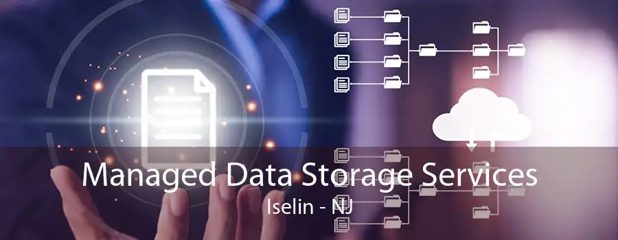 Managed Data Storage Services Iselin - NJ