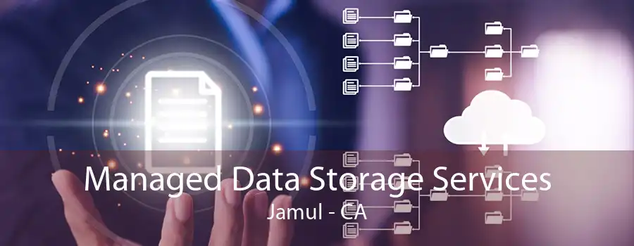 Managed Data Storage Services Jamul - CA