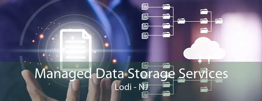 Managed Data Storage Services Lodi - NJ