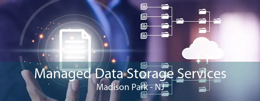 Managed Data Storage Services Madison Park - NJ