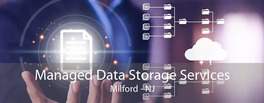 Managed Data Storage Services Milford - NJ