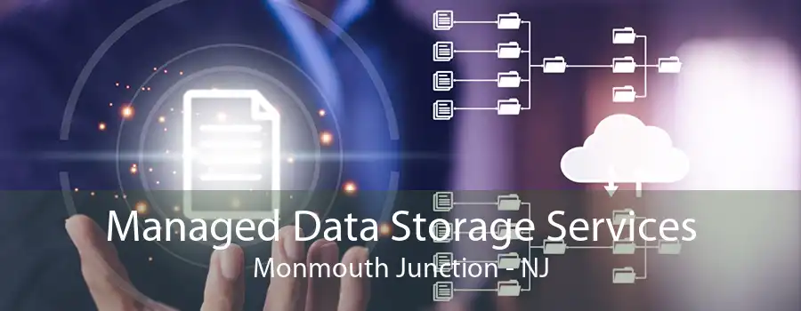 Managed Data Storage Services Monmouth Junction - NJ