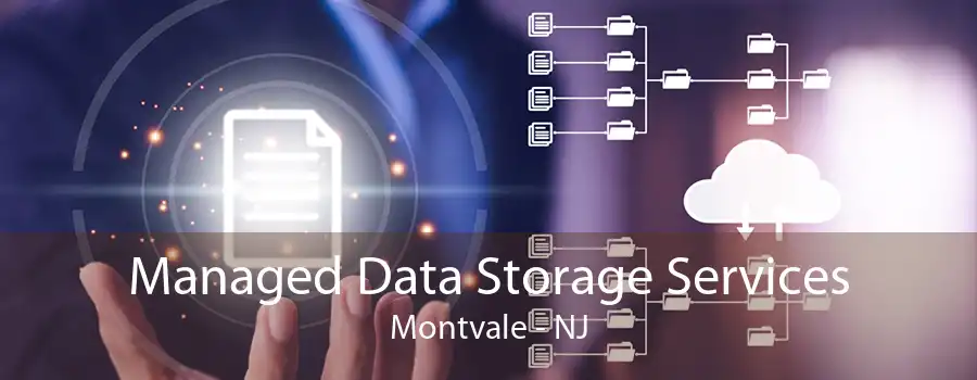 Managed Data Storage Services Montvale - NJ